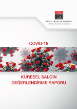 6.Versiyon: TÜBA COVID-19 Küresel Salgın Değerlendirme Raporu